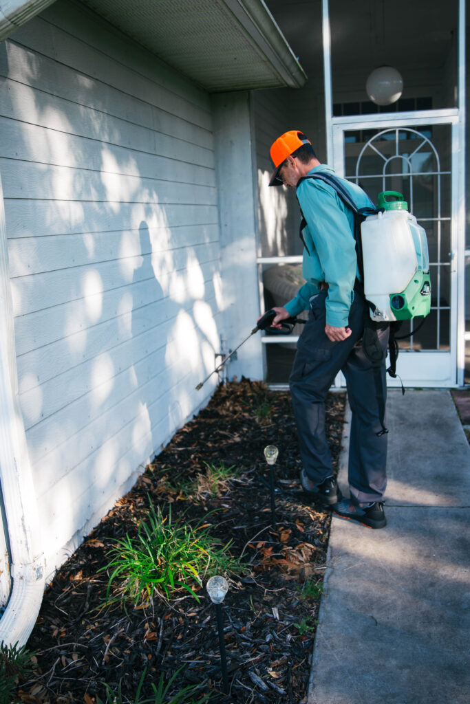 pest control near me