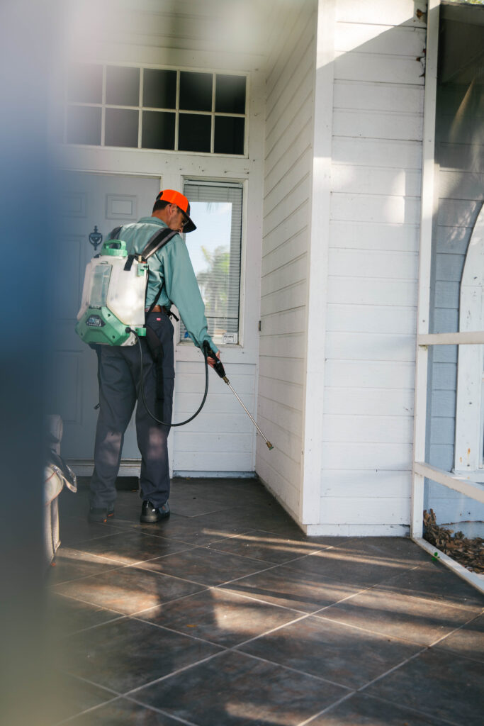 pest removal in florida