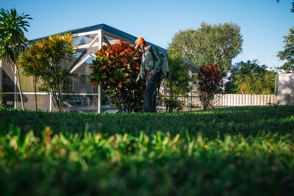 residential pest company