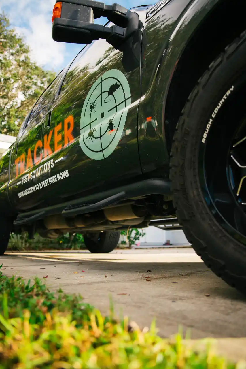 How Much Is It For Pest Control Mentor Ohio